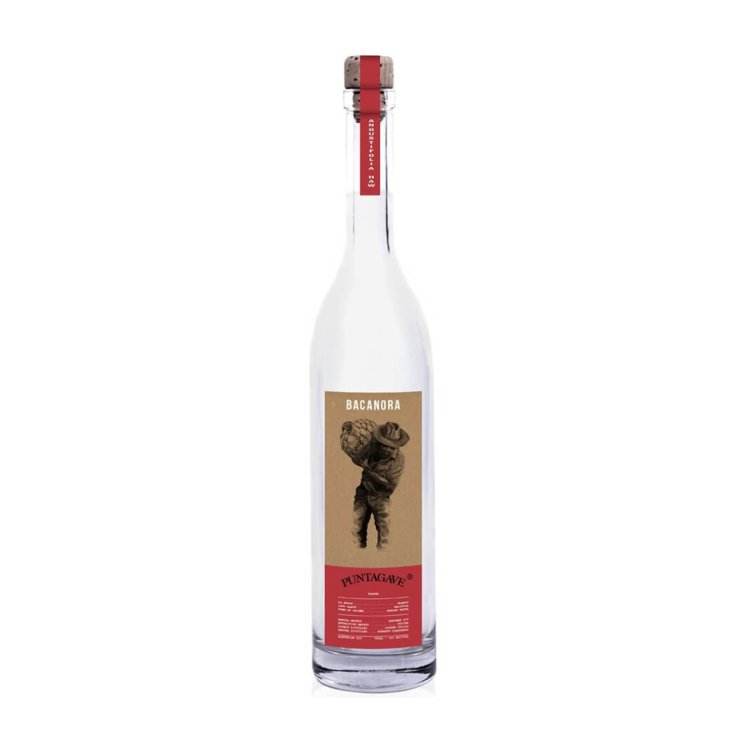 Puntagave Rustico Bacanora 750ml